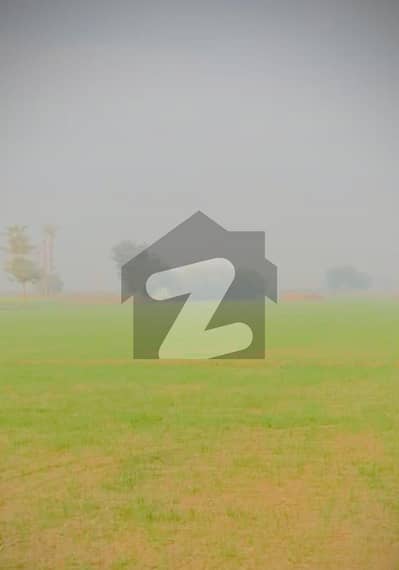 ڈی