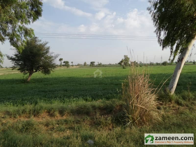 Agricultural Land Is Available For Sale