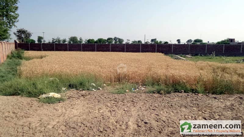 Commercial Plot Is Available For Sale Commercial Plot Is Available For Sale
