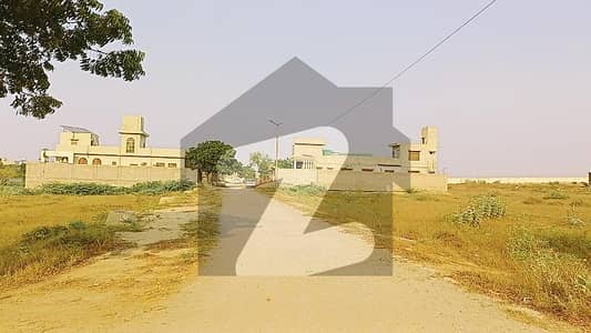 سندھ