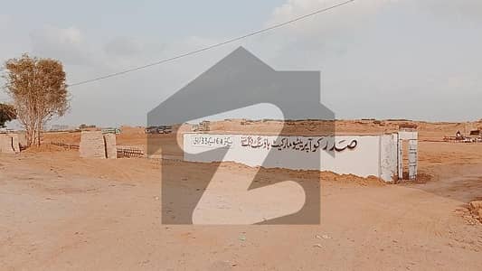 صدر