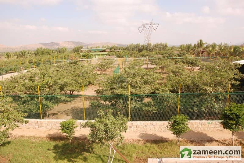 Sherwani Farm House Land Available For Sale