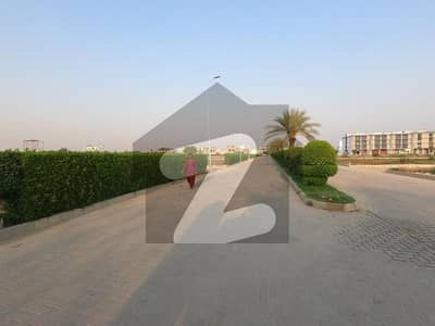 الجدید