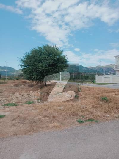 D-12/2 600 Square Yard Top Location For Sale