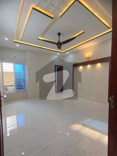 G10 Brand New Full House Available For Rent Ideal Location