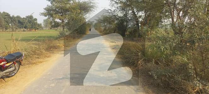 Fertile 10 Kanal Agricultural Land Available On Bedian Road