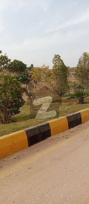 Plot File For Sale In DHA Valley