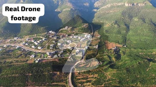 C. 12 Time To Invest Best Price Fully Devlop Plots