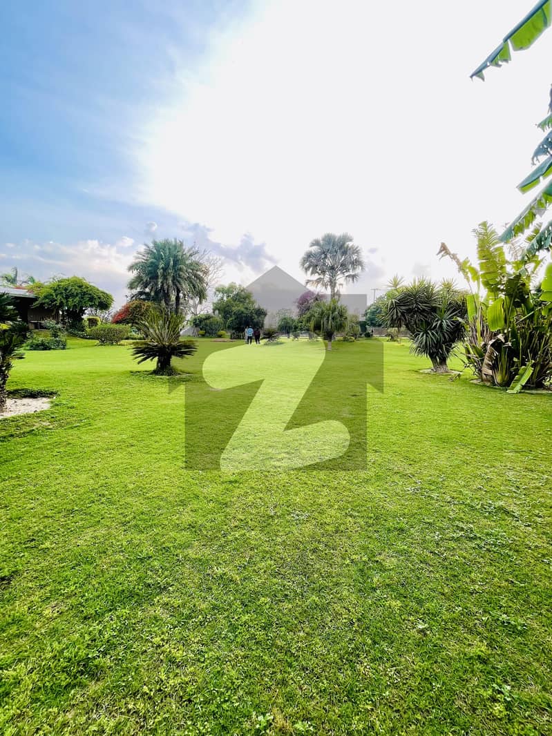 16 Kanal Farm House Land For Sale Bedian Road Lahore 16 Kanal Farm House Land For Sale Bedian Road Lahore