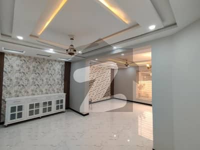 A Brand New Ground Floor Is Available For Rent