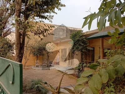 Corner House For Sale In Gulistan Colony