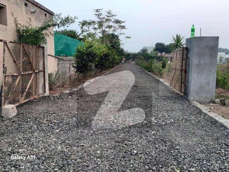 Farm House For Rent Chak Shahzad, Islamabad ID51927601 - Zameen.com