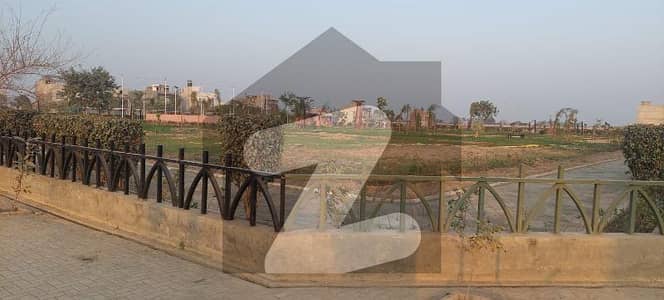پیراگون