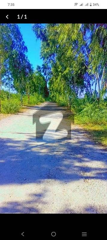 5 Marla Plot For Sale Chakri Road Gulshan E Kashmir