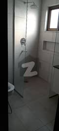 20 