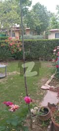 26 