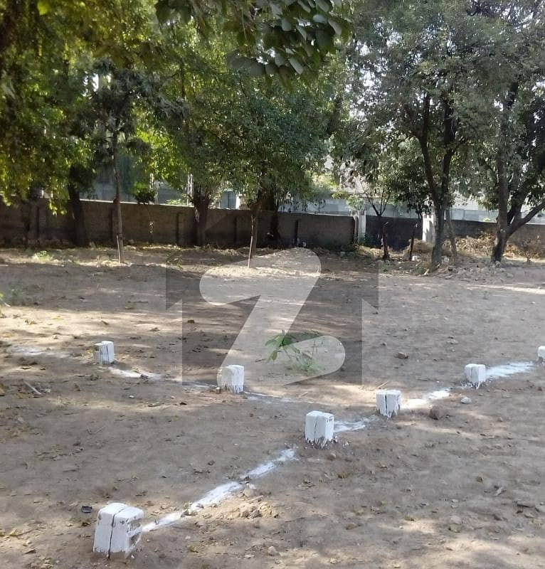 A 33 Marla Beautiful Plot Available For Sale In Peshawar Cantt A 33 Marla Beautiful Plot Available For Sale In Peshawar Cantt