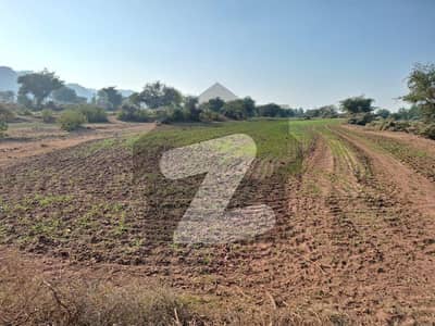 Land For Sale In Fateh Jang Area Moza Pind Fateh