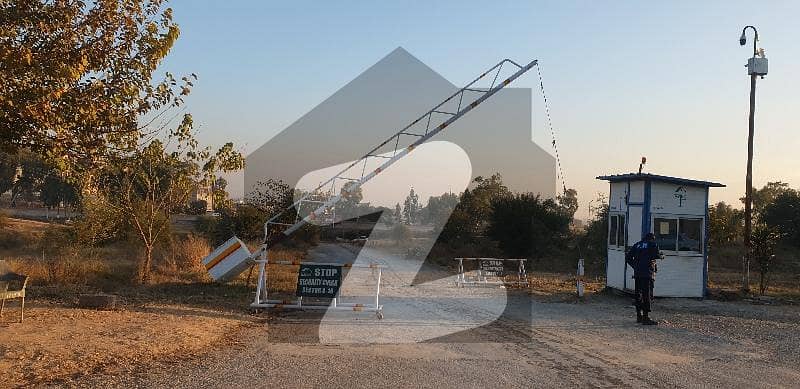 Jamboo Plot Available In Reasonable & A Investors Price Jamboo Plot Available In Reasonable & A Investors Price