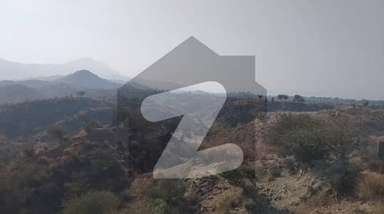 جھلم