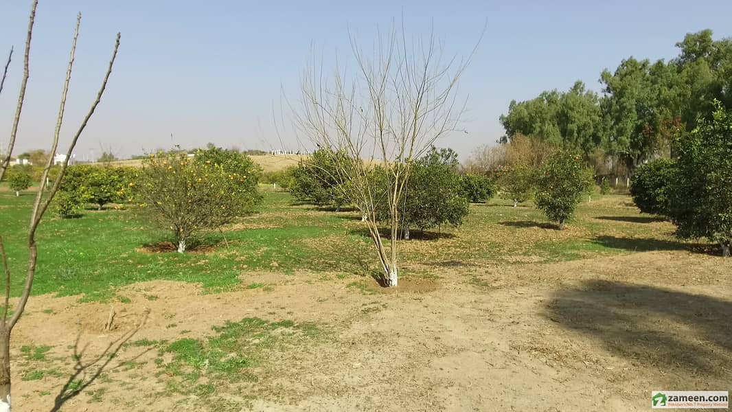 Farm House Is Available For Sale Chakri Road, Rawalpindi ID8701894