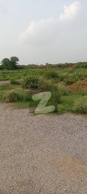آئی