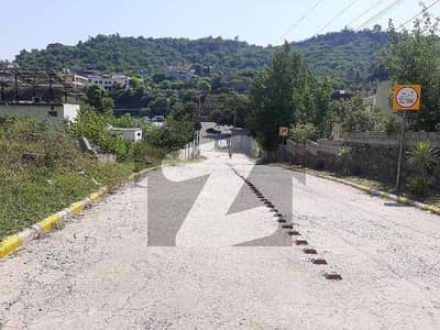 بنی