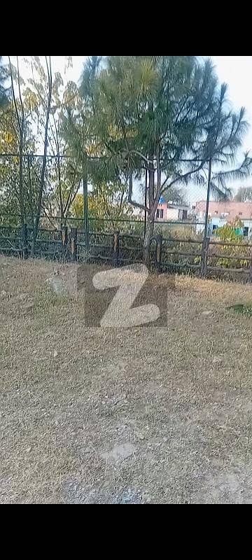 Prime Location & Solid Land Kanal Property Is Available For Its Different Impact, Corner End Prime Location & Solid Land Kanal Property Is Available For Its Different Impact, Corner End