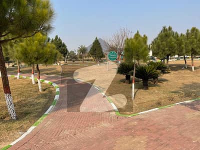 ملٹی