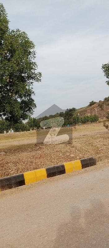 ڈی