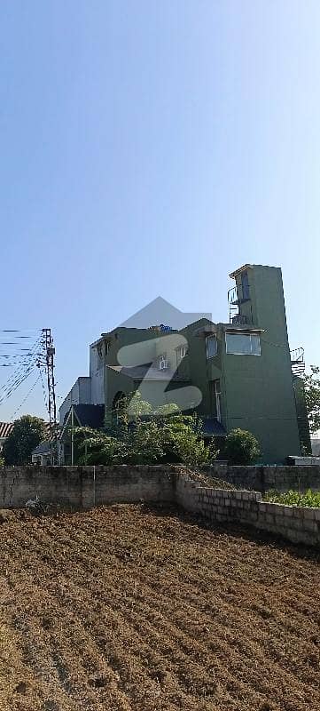 Plot For Sale