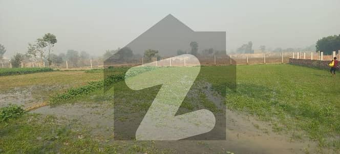 بیدیاں