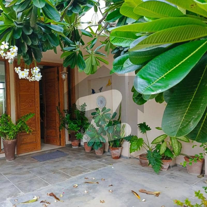 9 Bedroom Beautiful House For Rent In F-10