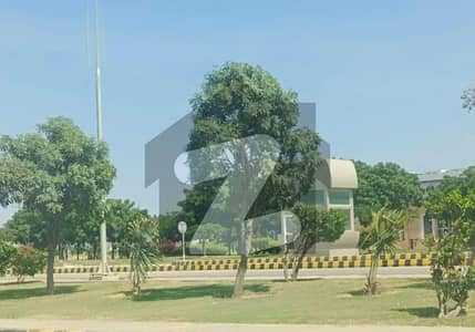 ڈی