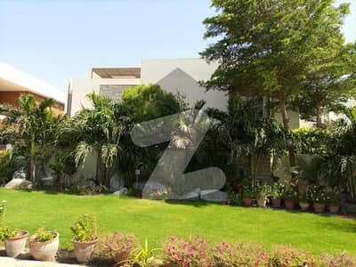 نیوی