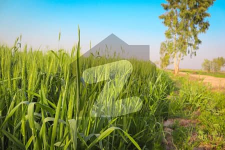 سمندری روڈ فیصل آباد میں 200 کنال زرعی زمین 2.25 کروڑ میں برائے فروخت۔