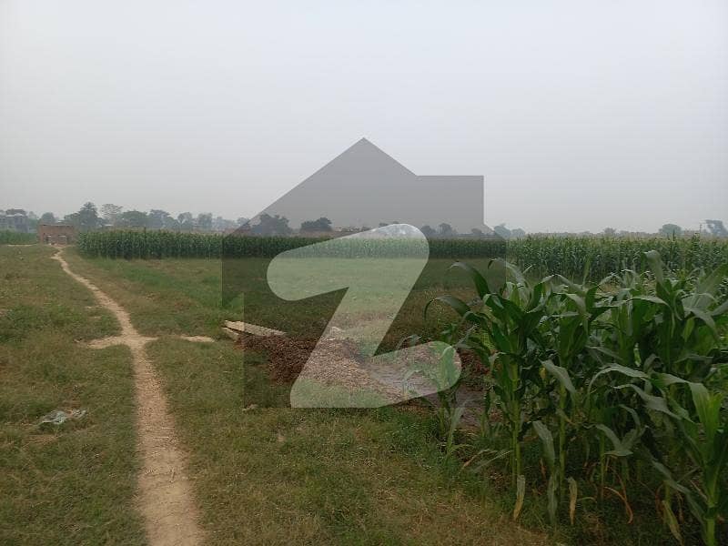 Bedian Road 4 Kanal Agricultural Land For Sale Mauza Jahman , Lahore