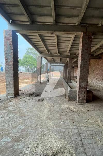 بیدیاں