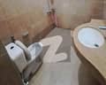 20 