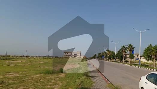 نیو