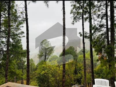 Possessionable Plot For Sale Near Lower Topa