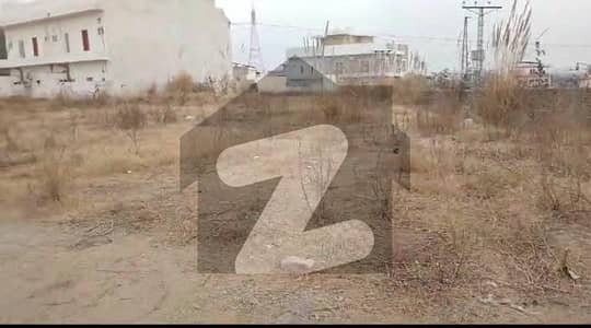 نیو
