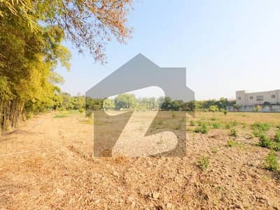 Looking For A Residential Plot In Lahore