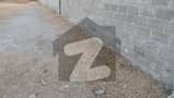 20 
