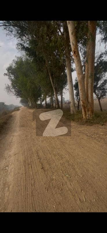 بی