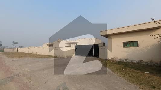 برکی