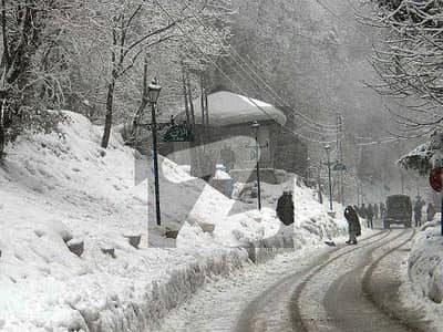 مری
