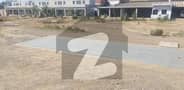 26 
