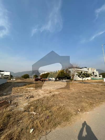 600 Square Yards Front Open Plot Available For Sale On Investor Price In D 12