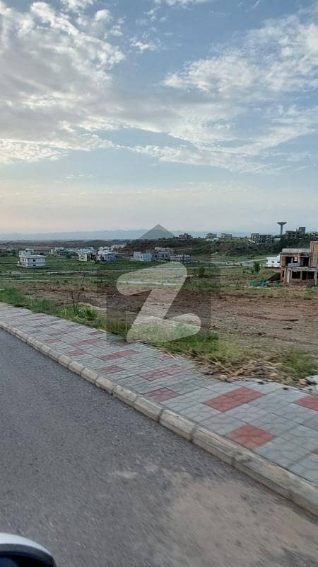Investor Price Developed Plot Level & Solid Land Investor Price Developed Plot Level & Solid Land